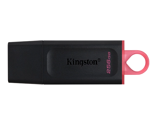 Kingston Data Traveler 256GB